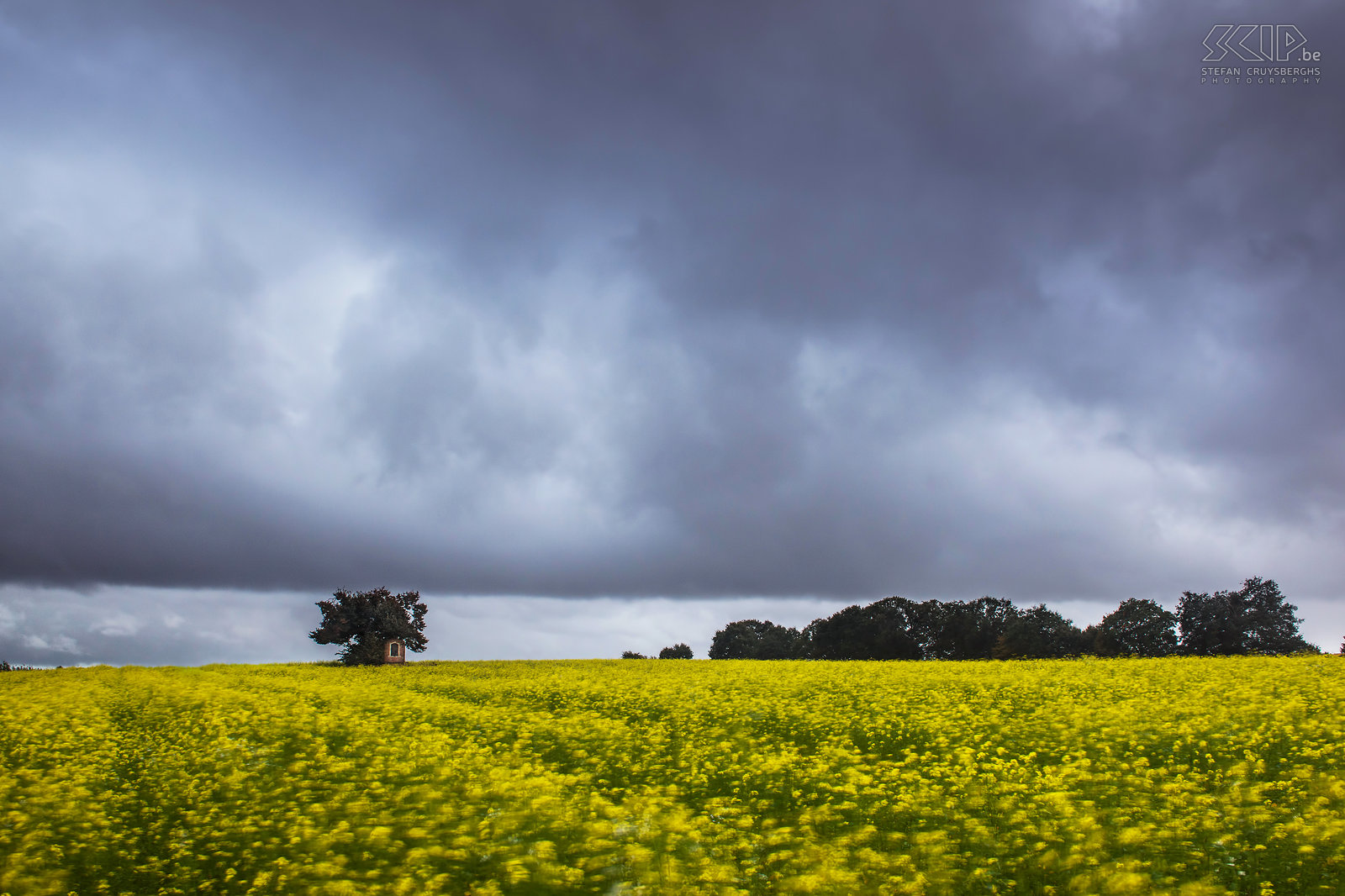 Sint-Pieters-Rode - Kapel met koolzaad en dreigende wolken Dreigende wolken en aankomende regenbuien bij het veld met koolzaad en het Sint Jozefskapelletje in Sint-Pieters-Rode (Holsbeek). Stefan Cruysberghs